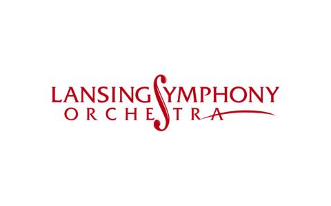 LSO logo