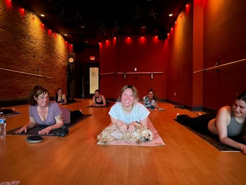 yoga instructor and clients enjoying their class