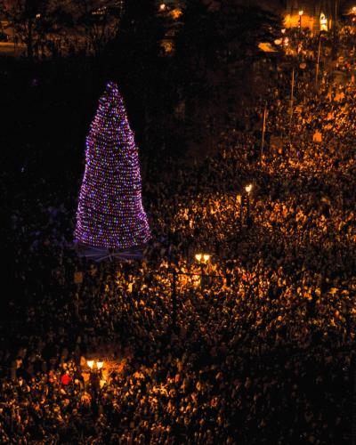 Holiday Tree